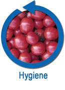 Hygiene Liquid bulk containers